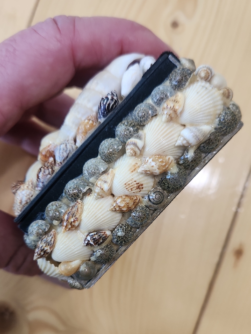 Vintage Sea Shell Trinket Box Black Velvet Lined Coastal Jewelry Keepsake Case - Picture 8 of 13